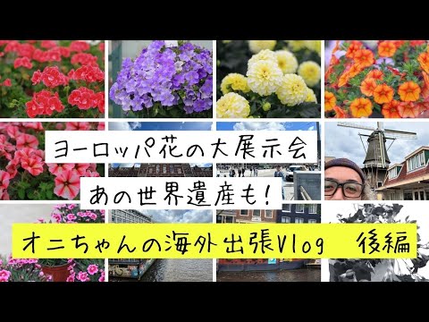 園芸 フード付きディセンター、オランダズボン