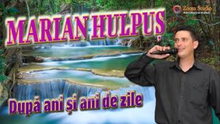 Download lagu MARIAN HULPUS - DUPA ANI SI ANI DE ZILE mp3
