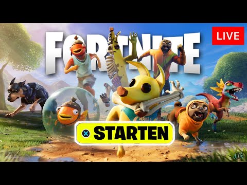 FORTNITE BEGLEITER UPDATE IST DA (LIVE)!😱 NEUE SEASON, BATTLE PASS, MAP, WAFFEN & MEHR✨ | Addi LIVE