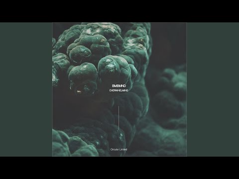 Overwhelming (Original Mix)