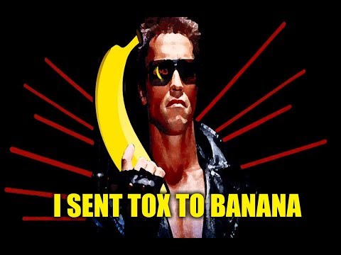 cooller interview -  I sent tox to banana Dreamhack Winter 2018