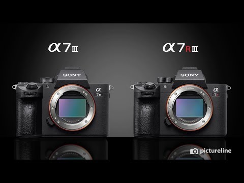 Sony A7III vs A7RIII: Which One is Your Next Camera?