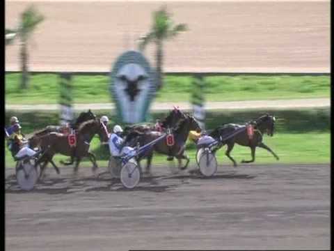 www kennethvella com Meeting (6) Date 5-3-2017 Race 1,2,3,4,5,6,7,8,9,10,11