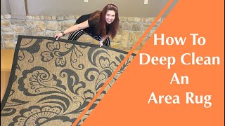 How To Clean An Area Rug At Home From Dog Urine + House Cleaning Products I Used To Clean Rug
