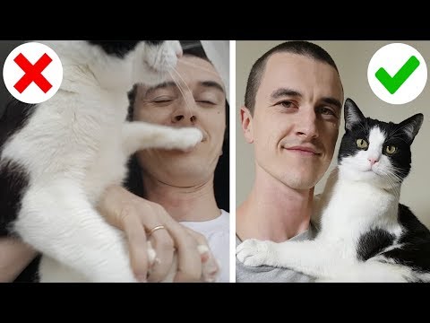How To Take a Good Selfie With a Cat