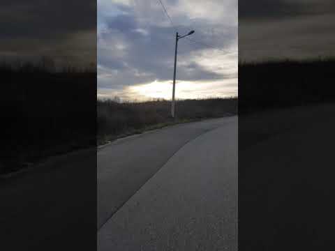 Linija 404 TREŠNJA-BELA REKA