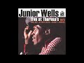 The Train I Ride - Junior Wells