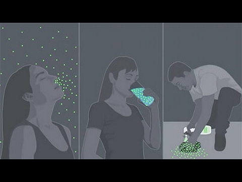 Where does TCE go in the body?