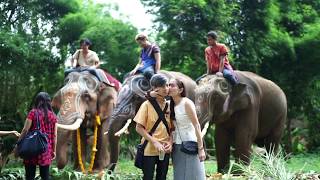 2017 Shrine of Household God Worship Ceremony by Patara Elephant Farm