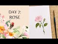 Day 7 - Watercolor Rose