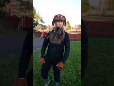 Om jag var en hund, del 4🤪🐶 Det är viktigt med rätt toaplats!!! Hur är era hundar? #hund #humor