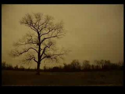 Officium Triste - The Silent Witness