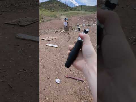 Taurus Model 66 Review: Best Budget 7-Shot .357?