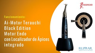 Cómo funciona el Ai-MOTOR Terauchi Black Edition,  Motor Endo | Funcionamiento
