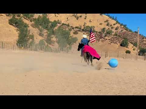 youtube preview