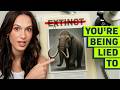 The Real Reason We Should Revive Extinct Animals