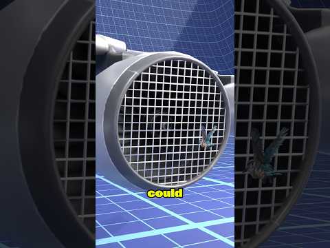 Airplane Engine EXPERT Reveals Why Grills Won't Stop Bird Strikes