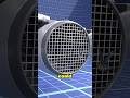 Airplane Engine EXPERT Reveals Why Grills Won't Stop Bird Strikes