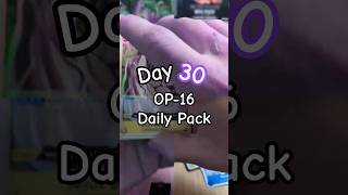 Day 30 OP-16 One Piece TCG — 30 Days of Pack Openings  #op #tcg #cards #onepiece #content