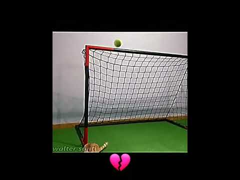 Lev Yashin Cat💀//#edit #football #cat