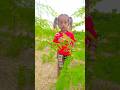 Trendingshorts Moh Maya Gujarati Song Trendingshorts Viralshorts Villagelife