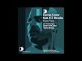 Dennis Ferrer feat K.T. Brooks - Run Free (Sean McCabe Vocal Remix) [Full Length] 2008