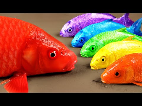 Stop Motion Cooking ASMR - 무지개 금붕어, 거대한 개구리와 메기/ 스톱모션 요리 Funny Video | Experiment Amazing Fishing