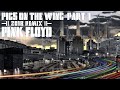 Pigs On The Wing (Part 1) by Pink Floyd