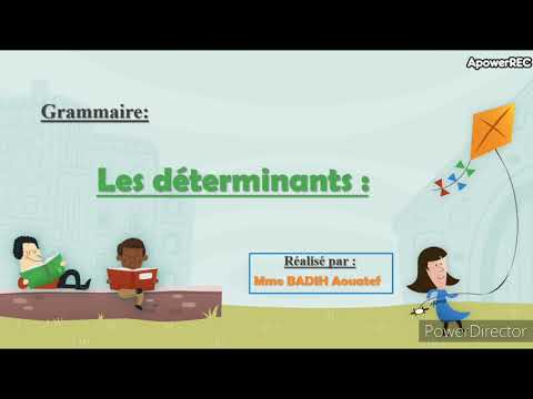 Les déterminants CE2