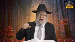 דף היומי בחצי שעה - יבמות דף כ"ד