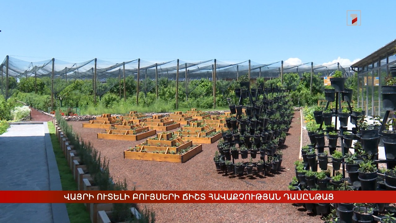 Վայրի ուտելի բույսերի ճիշտ հավաքչության դասընթաց
