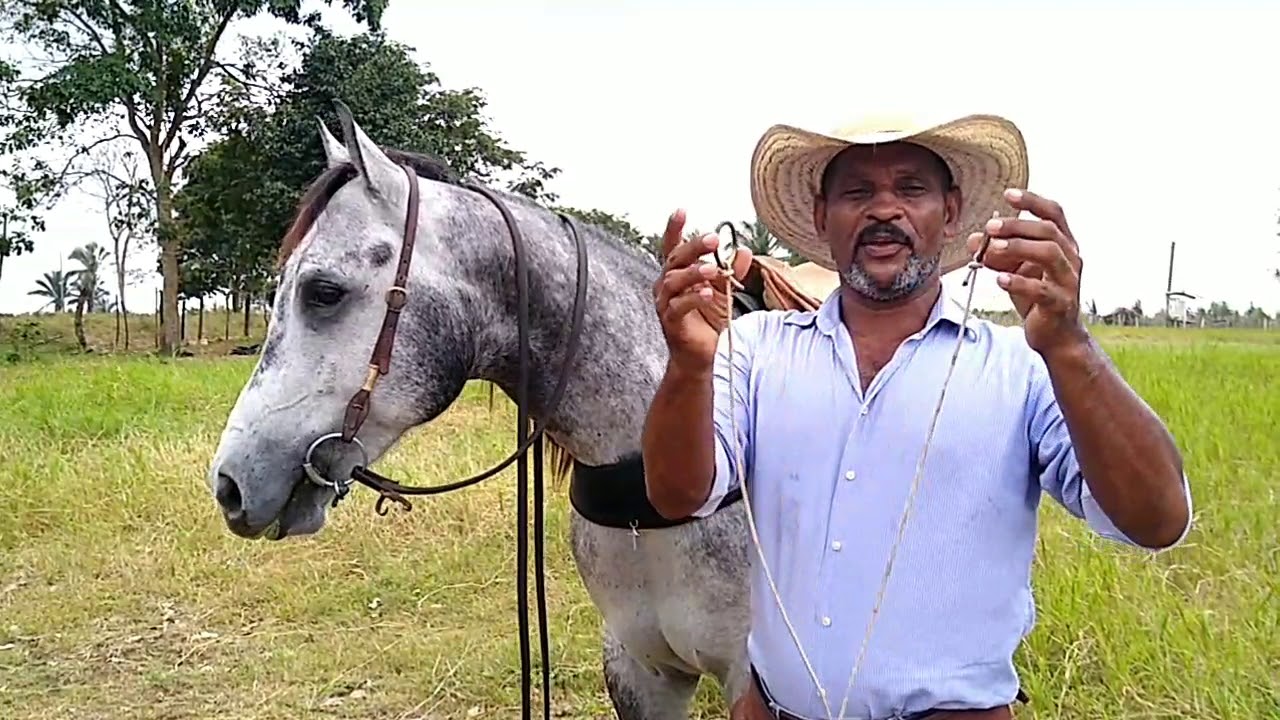 Como fazer e usar corretamente o martingale