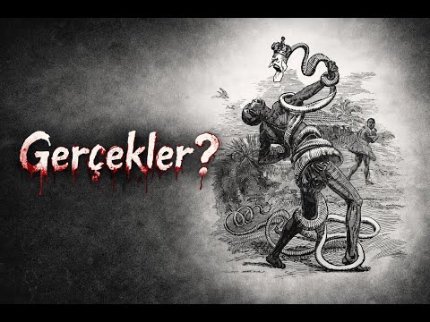 Bölüm 1 : Belçika