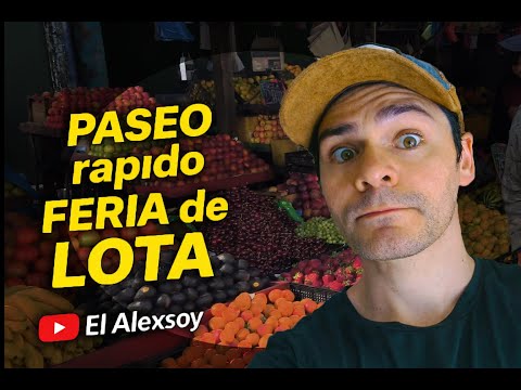 Feria de LOTA pase rápido 📍CHILE #feriachile #lota #elcarbon 