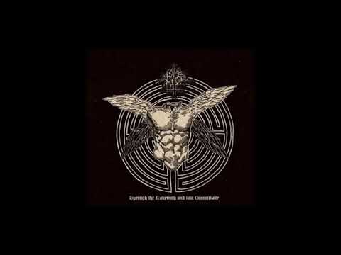 Pale Mist - Life in the Dead Tree (Feat. Dan Capp)