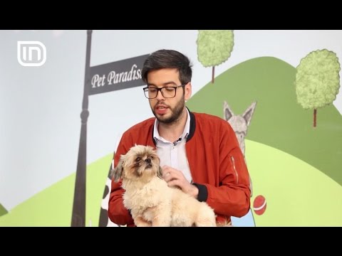 Life is Better with Friends 22032017 - Pse qente pelqejne te hane jashteqitjen