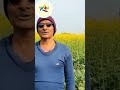 प्राकृतिक खेती प्रदर्शन कृषक फीडबैक