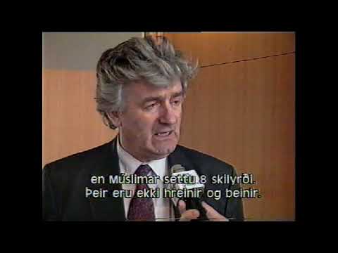 Erlendar fréttir ársins 1993.  Sp.  37.