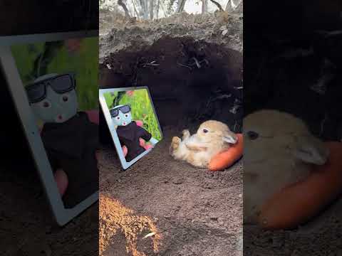 Bunny watches Martian and Yoshi 😆 #shorts