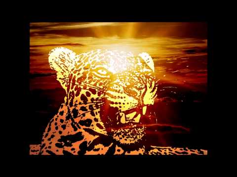 Sunshine of the Jaguar - DJ Rolando vs Tomaz vs Filterheadz (RicRod Mashup)