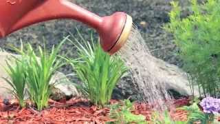 Red Mulch