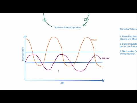 Ökologie - Dynamik von Populationen: Räuber-Beute-Beziehung, Lotka-Volterra-Regeln