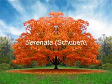 Músicas para calmaria