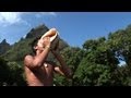 SEEDS OF HOPE TRAILER M4v