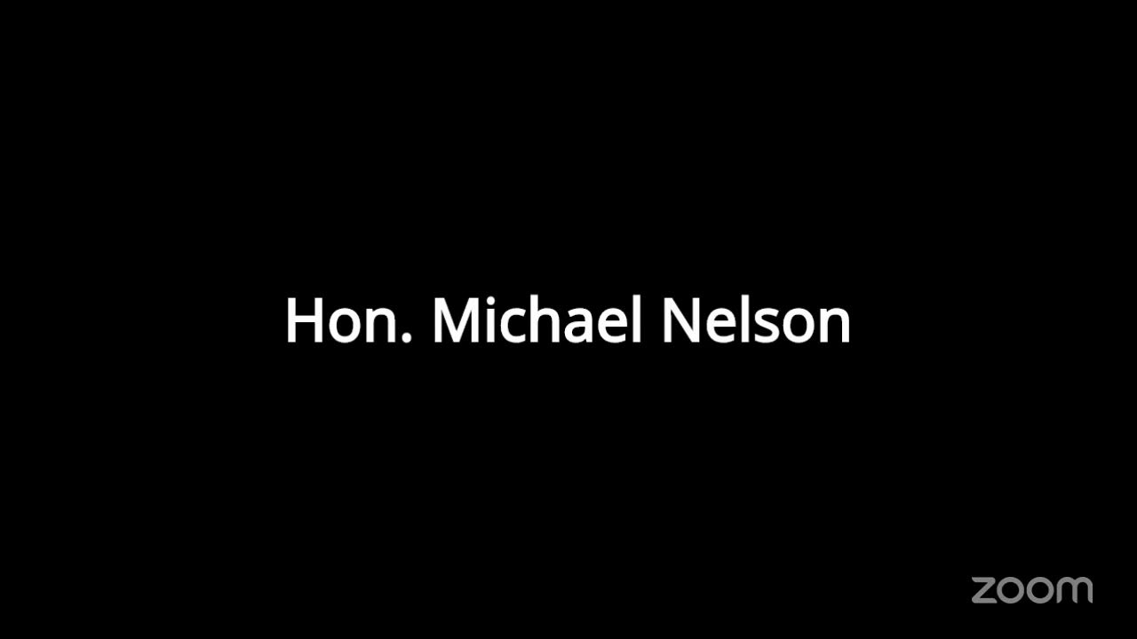 Hon. Michael Nelson's Zoom Thursday General Docket:  Bell/Coryell/Lampasas
