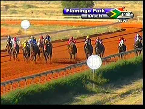 2013-05-06 Flamingo Park - race 9