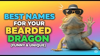 STOP! Don't Name Your Bearded Dragon Before Seeing THESE 75+ Genius Ideas!