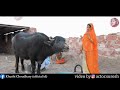 Jaat Status