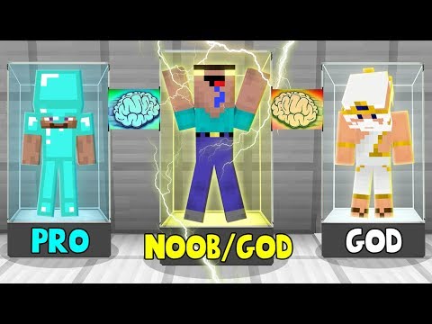 Minecraft NOOB vs PRO vs GOD :TRANSFORMATION OF NOOB TO GOD in Minecraft | Animation Video