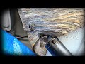 Bald Faced Hornet Nest Removal New Vacuum Yellowjacket Removal